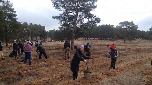 Свежие новости: В Матвеевском лесу жители микрорайона высадили деревья