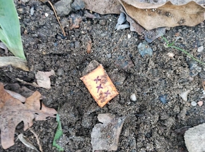 Свежие новости: В Николаеве задержали девушку, которая искала наркотики