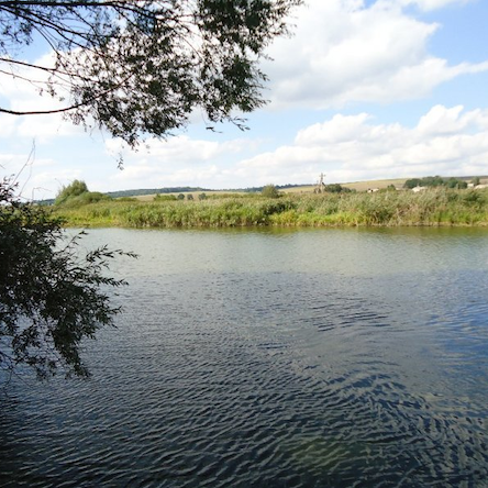 Свежие новости: Житель Арбузинки підозрюється в захопленні водойми