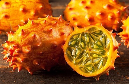 Свежие новости: На Миколаївщині фермер почав вирощувати африканський огірок Ківано