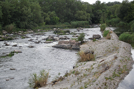 Свежие новости: Запуск Мигеевской ГЭС привел к гибели флоры и фауны
