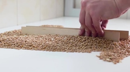 Свежие новости: Области, которые скрыли зерно от проверки на качество