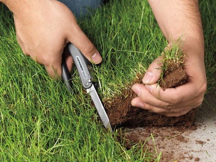 Свежие новости: Земельный скандал в Черниговской области: пайщики чуть не избили представителей фирмы с орбиты 