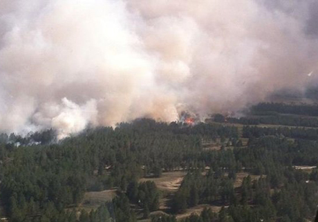 Свежие новости: В Херсонской области ликвидировали масштабный лесной пожар, с которым боролись неделю