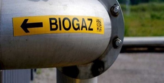 Свежие новости: В Первомайске хотят добывать биогаз из отходов, чтобы освещать город