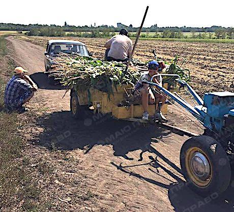 Свежие новости: 