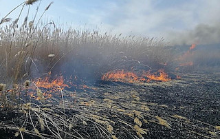 Свежие новости: На Миколаївщині встановлено найвищий клас пожежної небезпеки –
