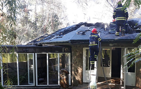 Свежие новости: В Черкассах горел зоопарк