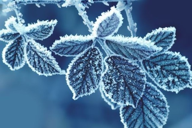 Свежие новости: Украину ждет ночной мороз до -10, в Николаевской области -4