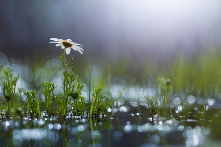 Свежие новости: На следующей неделе ночная температура снизится до 8 градусов тепла - синоптики