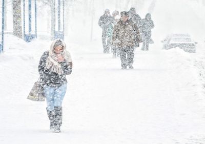Свежие новости: Какой будет зима в Украине: Синоптик