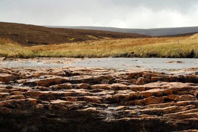 Свежие новости: Синоптик: В Украине будет сильная засуха