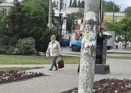 Фото новости: В центре Николаева женщина украла цветы с клумбы – никто из прохожих ей не помешал Свежие новости: В центре Николаева женщина украла цветы с клумбы – никто из прохожих ей не помешал