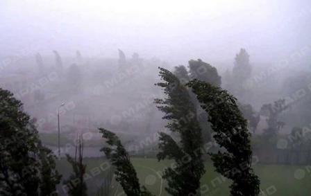 Свежие новости: Украинцев предупредили о дождях и ветре