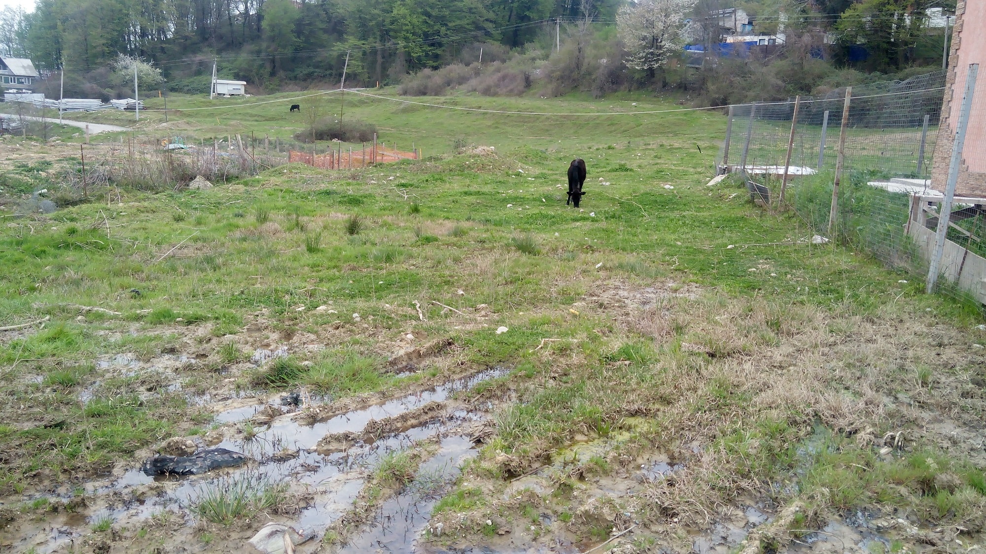 Свежие новости: Первомайской местной прокуратурой выявлен факт нецелевого использования земельного участка