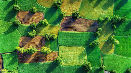 Свежие новости: Кабмин завершил приготовления к открытию рынка земли