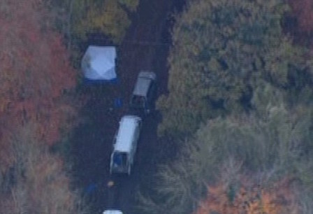 Свежие новости: Над Великобританией столкнулись самолет и вертолет: подробности и фото авиакатастрофы