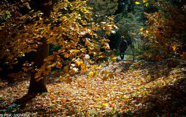Свежие новости: Ночное похолодание и солнечные дни: прогноз на неделю