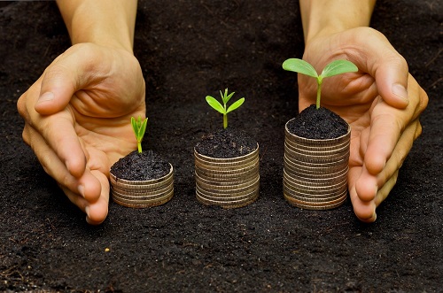 Свежие новости: Продажа земли иностранцам: в Минагрополитики назвали сроки референдума