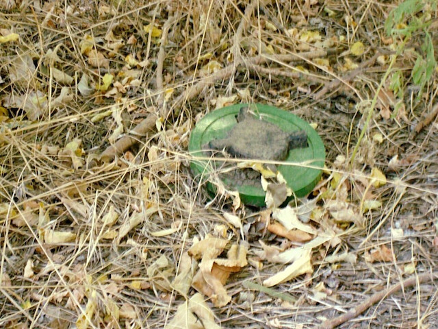 Свежие новости: На Миколаївщині на російській міні підірвались двоє людей – постраждала дитина в тяжкому стані