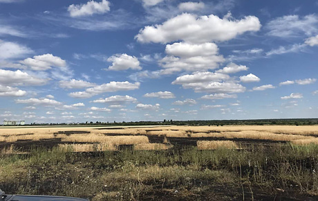 Свежие новости: За прошедшие сутки николаевские спасатели 12 раз тушили пожары