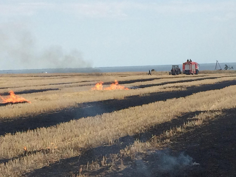 Свежие новости: На Николаевщине спасатели ликвидировали пожар стерни на поле