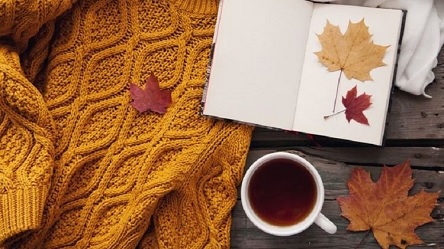 Свежие новости: Какой сегодня праздник. 15 ноября именины у Константина и День переработки вторсырья