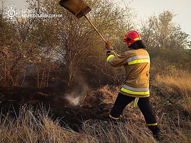 Свежие новости: Пожежа в Андріївському лісовому урочищі: рятувальники продовжують чергування