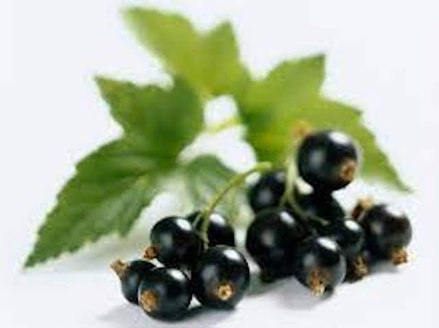 Свежие новости: В николаевском супермаркете покупателю пробили смородину по 16 тыс. гривен