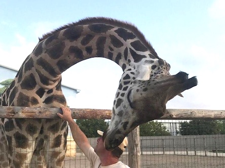 Свежие новости: В Одессе горел Биопарк с редкими животными