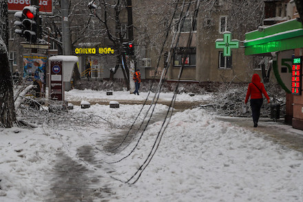 Свежие новости: В Одессе из-за непогоды повалено более 500 деревьев