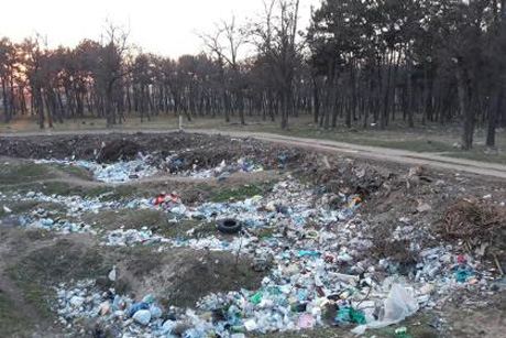 Свежие новости: На Николаевщине жители просят построить полигон, чтобы спасти лес и реку от мусора