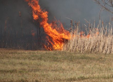 Свежие новости: В Снигиревке и в Первомайске из-за поджога горел камыш