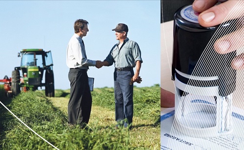 Свежие новости: На Николаевщине начата кампания заключения аграрных расписок - 2019