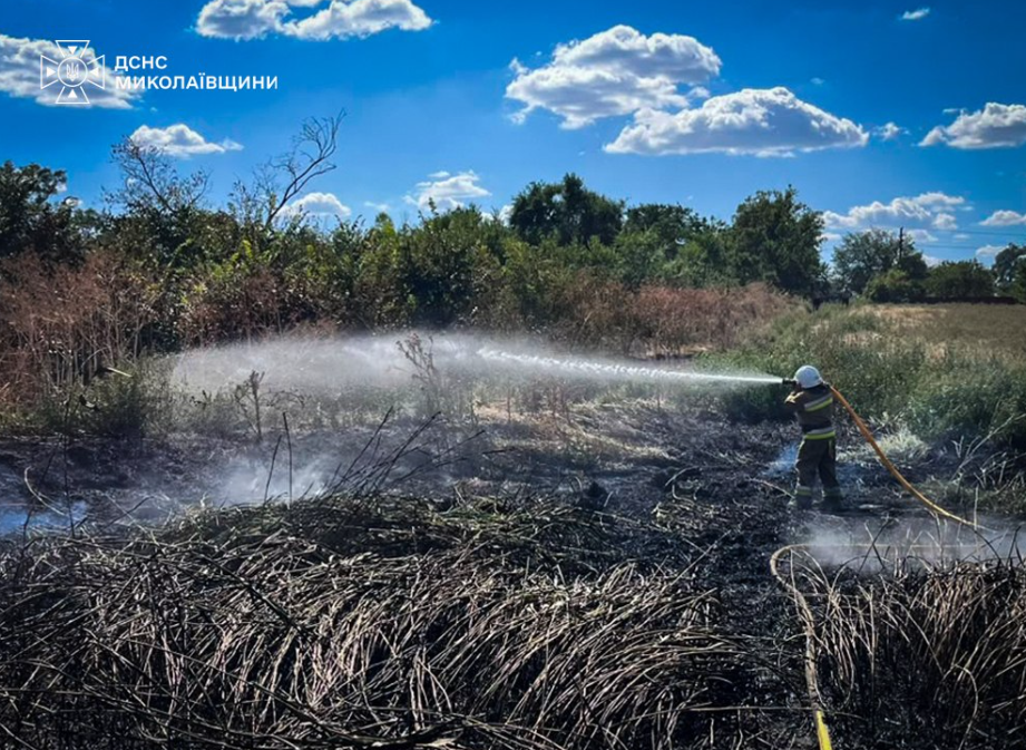 Свежие новости: 38 пожеж і 27 гектарів за добу: на Миколаївщині горіли гараж, автівка і сухостій