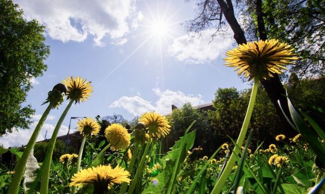 Свежие новости: Синоптики рассказали, когда Украину ждет потепление