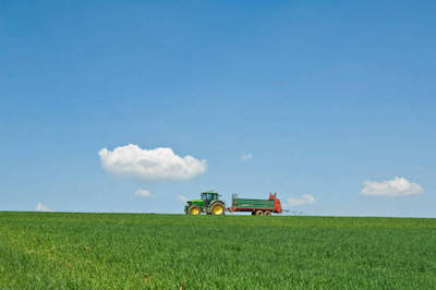 Свежие новости: У Вознесенському районі розпочато провадження за фактом захоплення 7 га землі