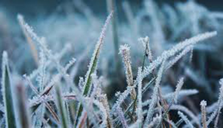 Свежие новости: Украинцам снова обещают заморозки