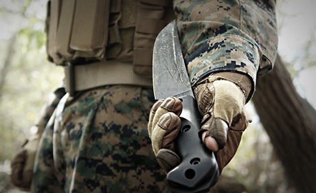 Свежие новости: В Запорожской области на детском празднике спецназовцы устроили кровавое шоу