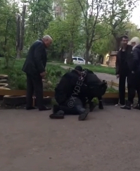 Свежие новости: В Одессе пьяные мужчины напали на ребенка на детской площадке