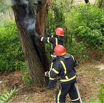 Свежие новости: Вогнеборці Миколаївщини минулої доби гасили чотири рази суху рослинність та дерево