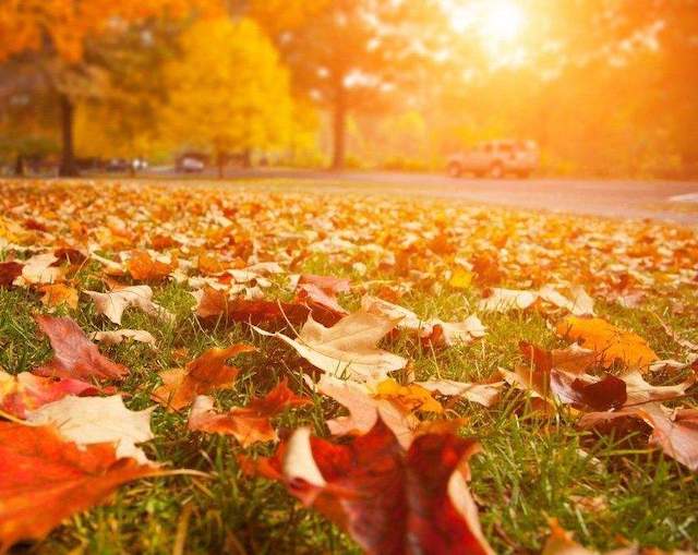 Свежие новости: Без осадков и до +15°: погода в Николаеве в пятницу