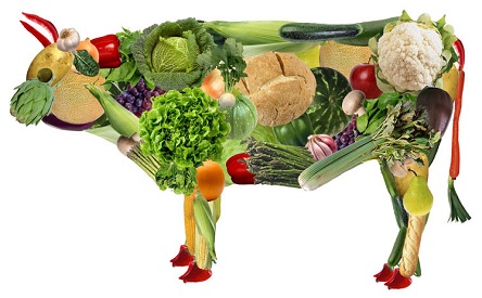 Свежие новости: 2020 год официально провозглашен годом веганов