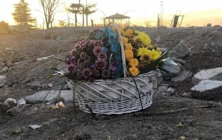 Свежие новости: Иран хочет подписать с Украиной меморандум относительно сбитого самолета МАУ