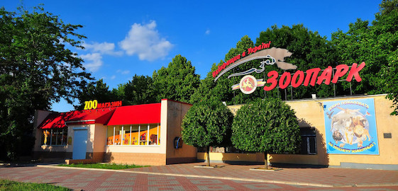 Свежие новости: В первые дни весны в Николаевском зоопарке родились 2 ягненка и две овечки