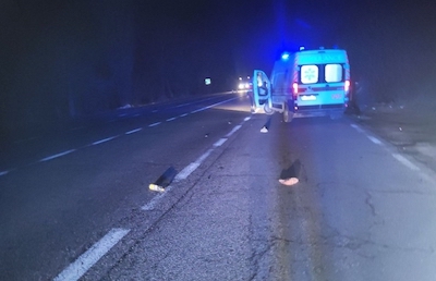 Свежие новости: На трассе Николаев—Одесса автомобиль насмерть сбил пешехода