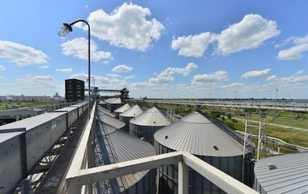 Свежие новости: Суд арестовал зерновой терминал Коломойского