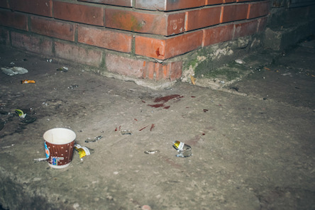 Свежие новости: 