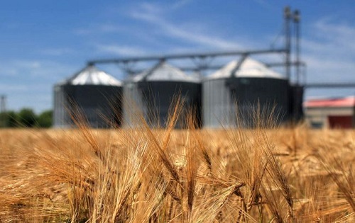 Свежие новости: Кабинет министров Украины воссоздал Министерство аграрной политики