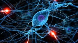 Свежие новости: Ученые нашли мощного 